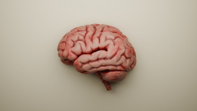 Image Credits: Unsplash