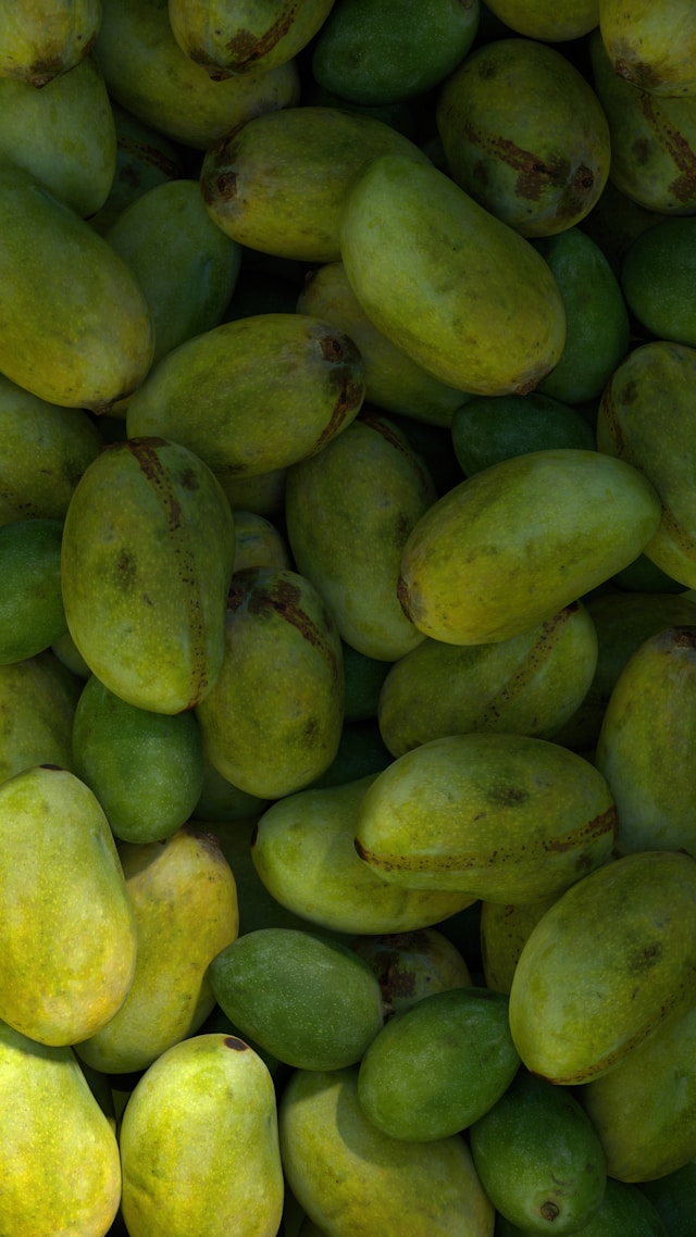 Image Credits: Unsplash