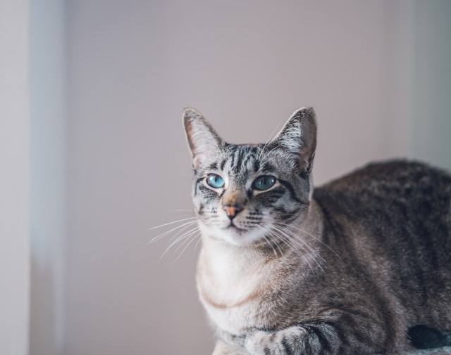 Image Credits: Unsplash