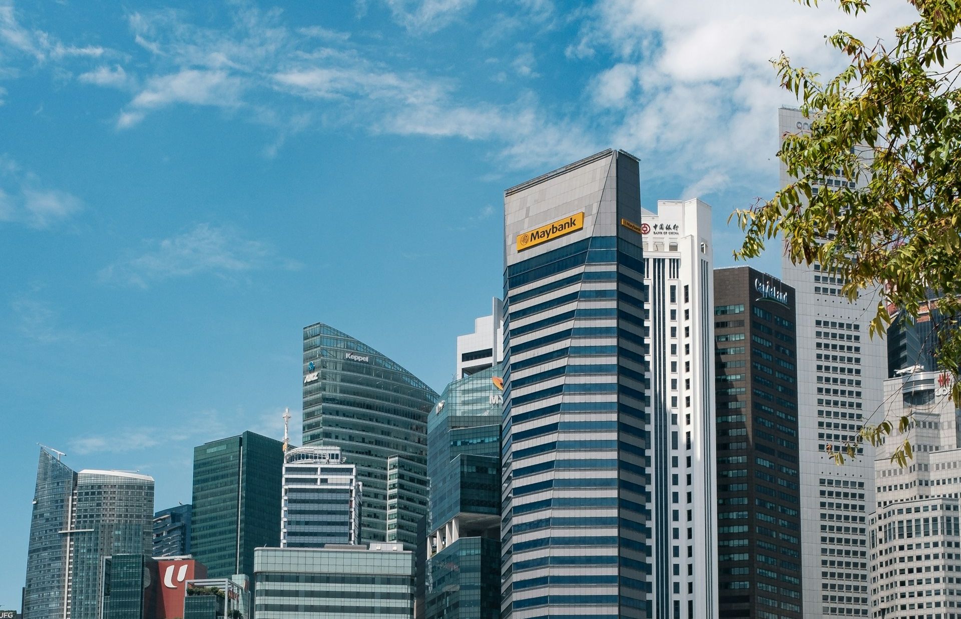 Image Credits: Unsplash