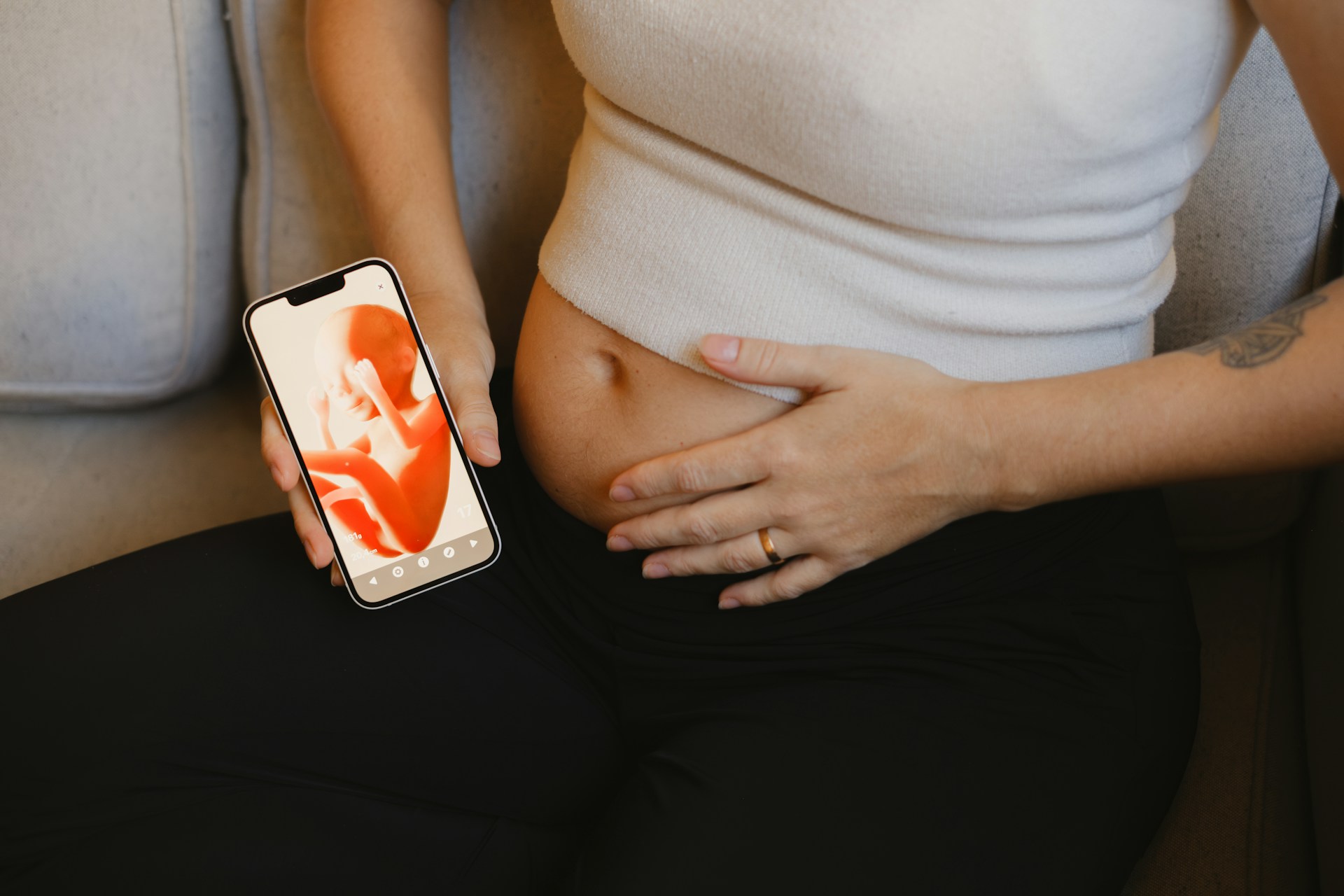 Image Credits: Unsplash