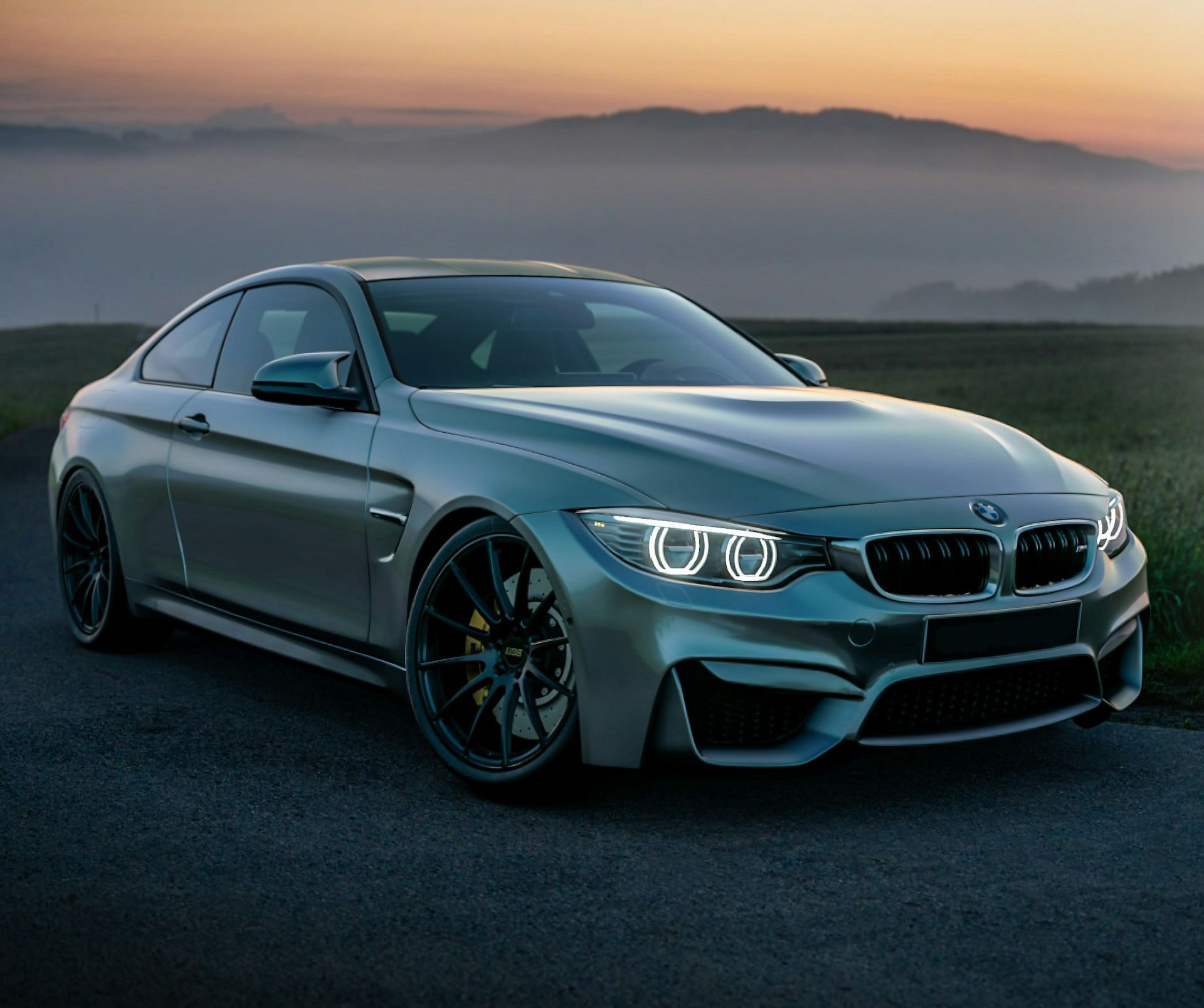 Image Credits: Unsplash