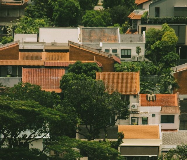 Image Credits: Unsplash