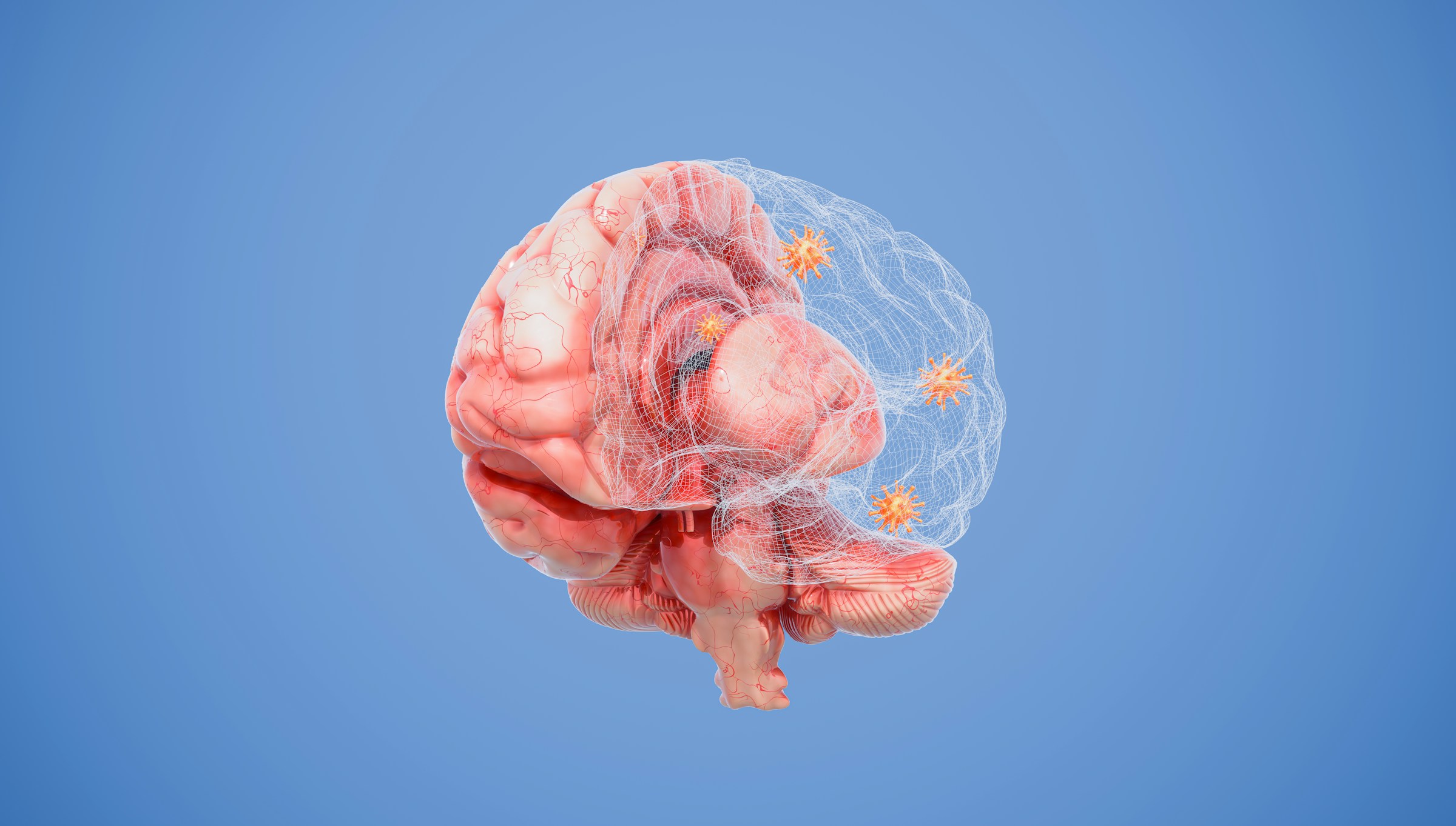 Image Credits: Unsplash