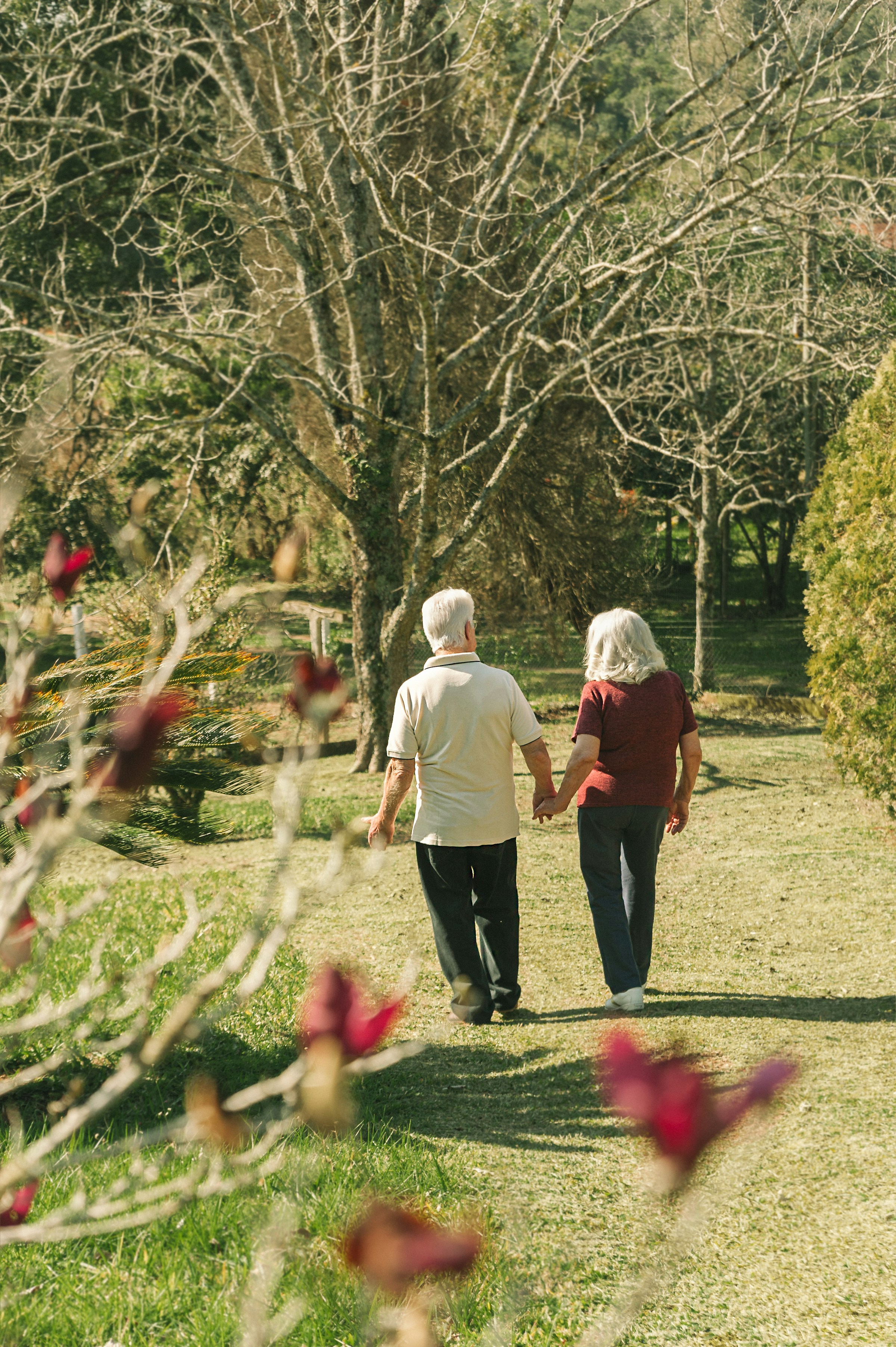 Image Credits: Unsplash