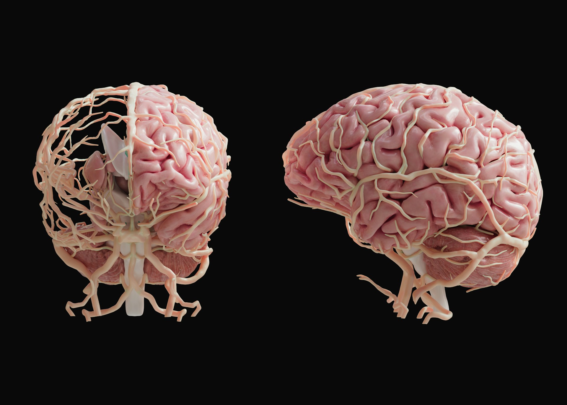 Image Credits: Unsplash