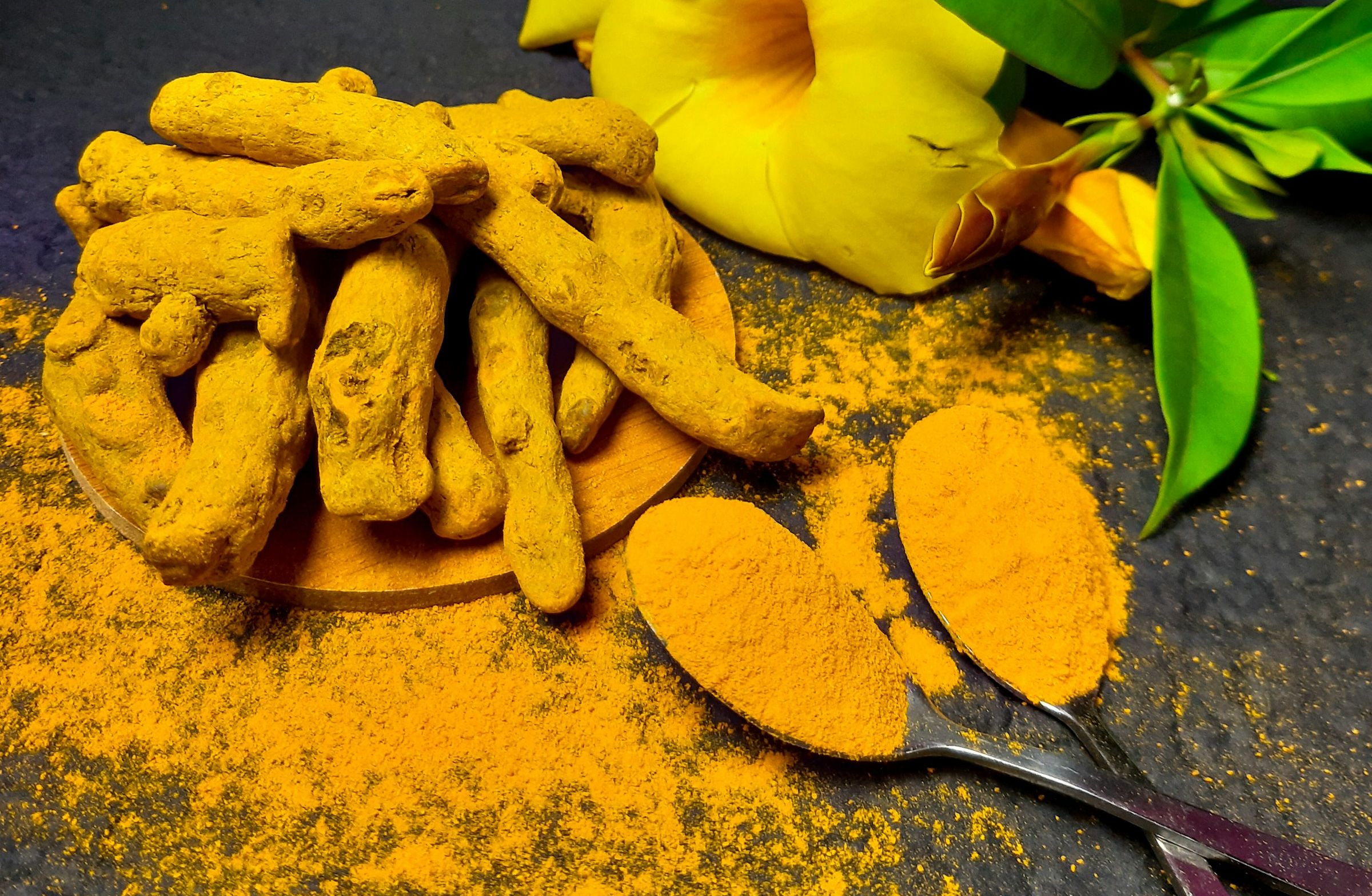 Image Credits: Unsplash