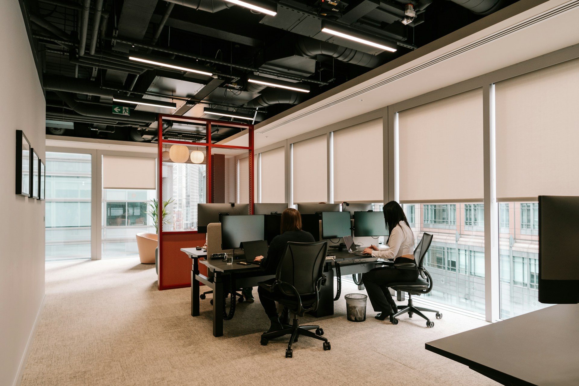 Image Credits: Unsplash